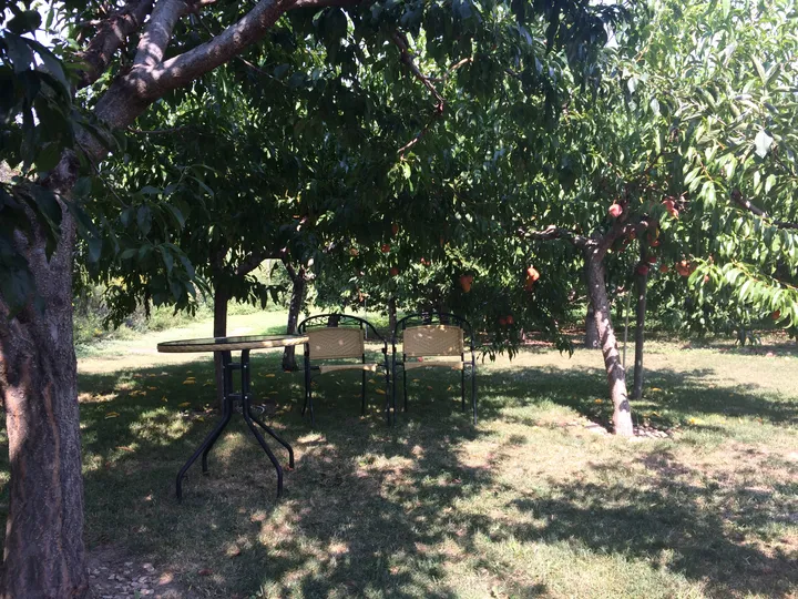 Thinking about Payments