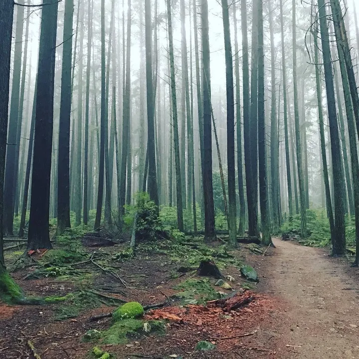 Albums of the year - 2017