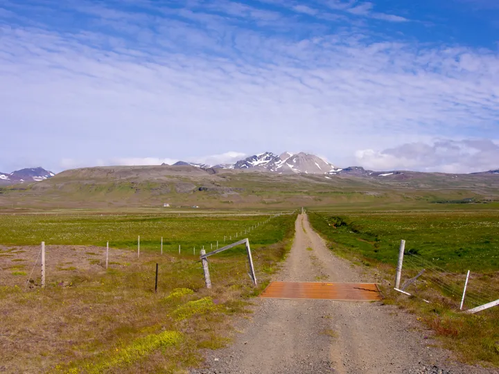 My leadership principles