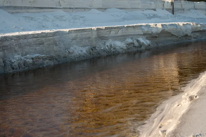 Software is eating the world like...